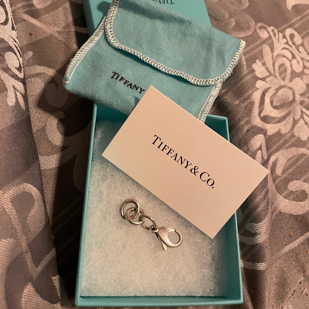 ABSOLUTELY AUTHENTIC TIFFANY &CO. EXTENSION